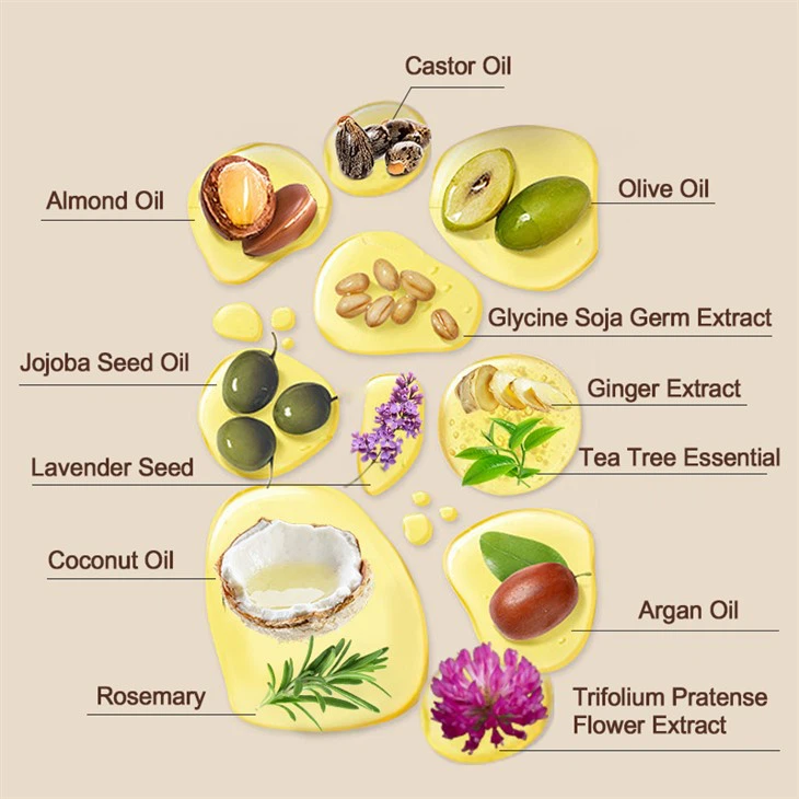 Rosemary Castor Almond Hair Oil  p1